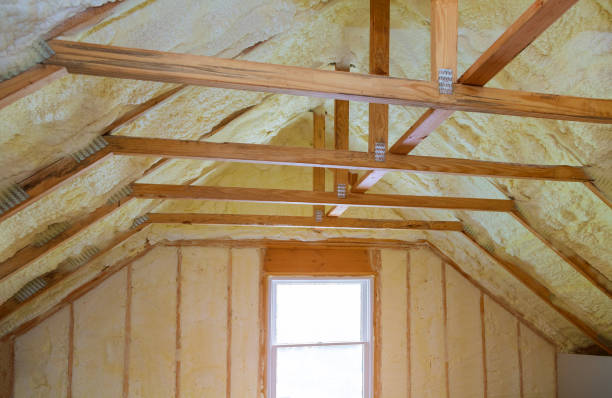 Best Blown-in Insulation in St Cloud, FL